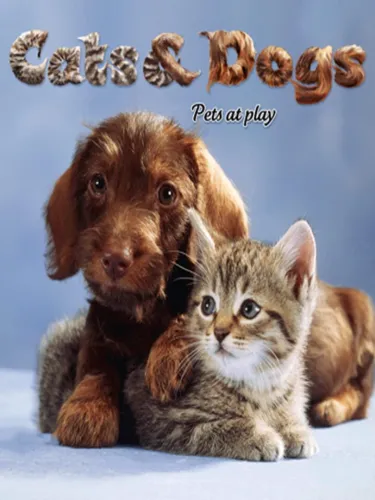 Portada de Cats and Dogs 3D: Pets at Play