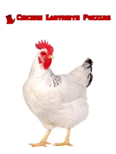 Portada de Chicken Labyrinth Puzzles