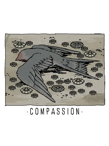 Portada de Compassion