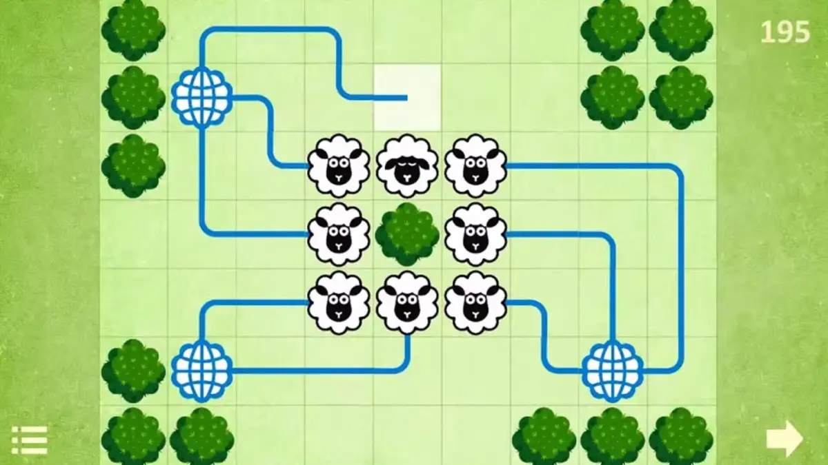 Connect Sheep