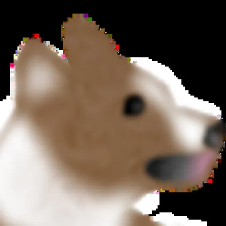 Portada de Corgi Flop