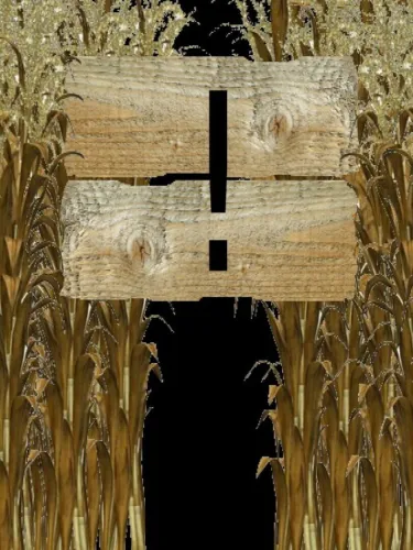 Portada de Corn Maze