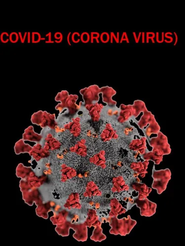 Portada de Covid-19 (Corona Virus)