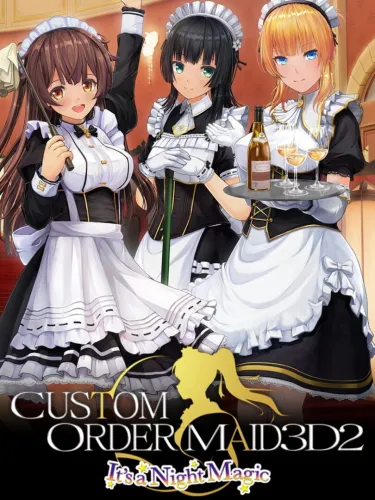 Portada de Custom Order Maid 3D2