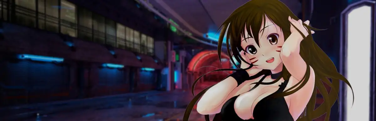 Cyberdunk: Anime Edition