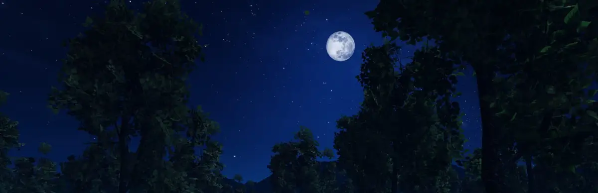 Dark Night with Floppa