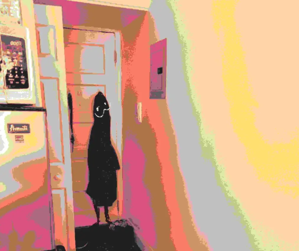 Portada de Dear Pretentiousness