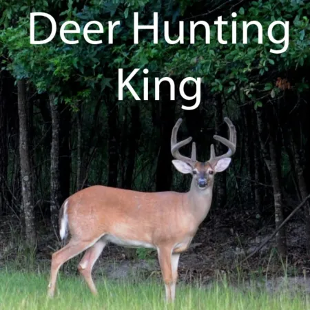 Portada de Deer Hunting King