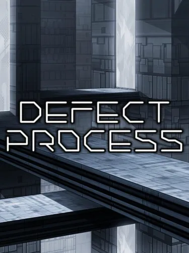 Portada de Defect Process