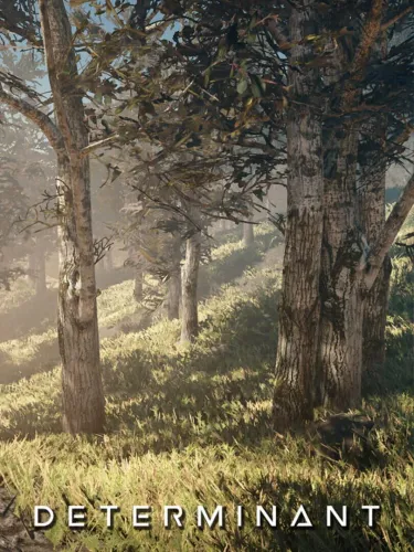 Portada de Determinant