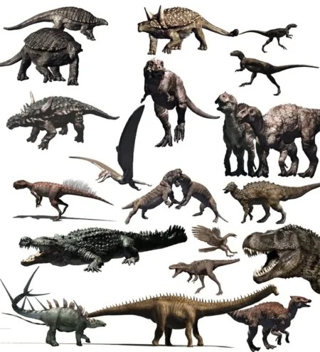 Portada de Dinosaur Battlegrounds