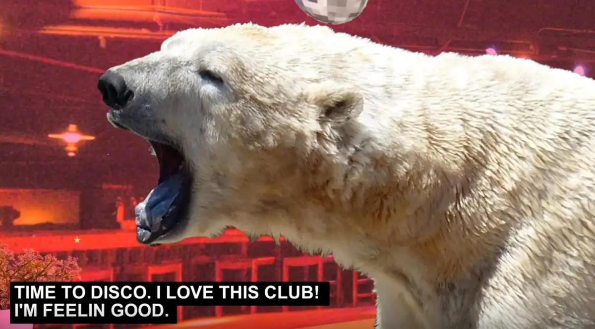 Portada de Disco Bear