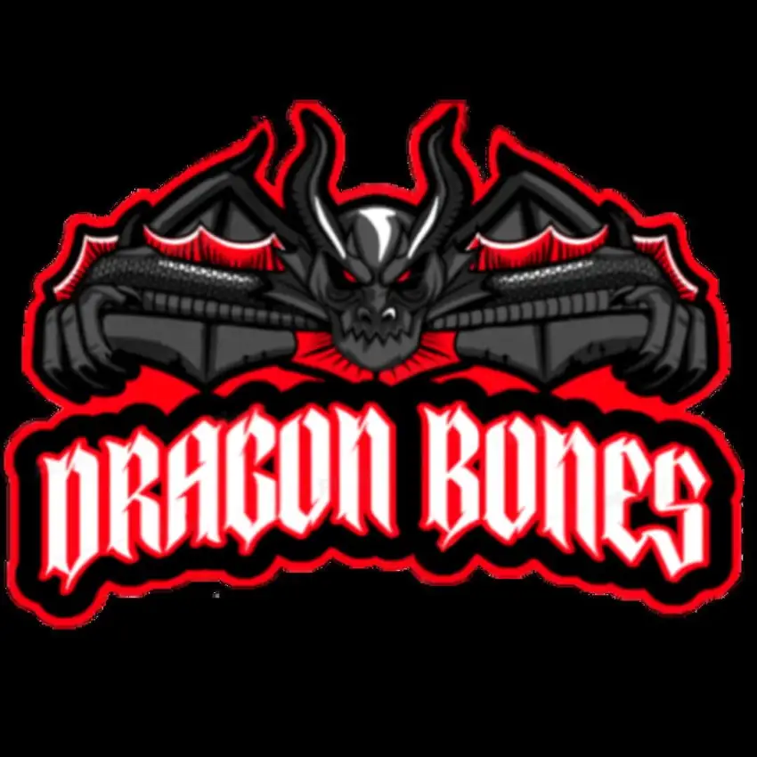 Portada de Dragon Bones