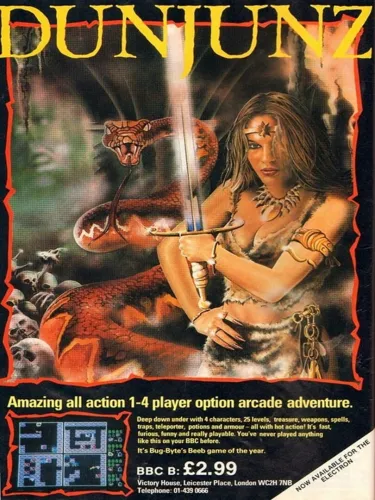 Portada oficial del videojuego Dunjunz