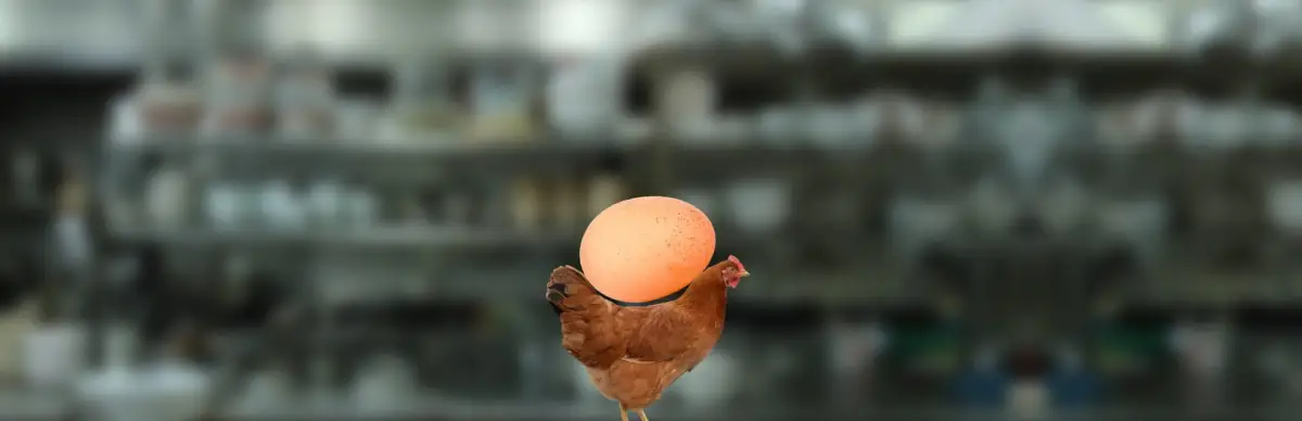 Egg Is Broken. Heart Is Too.