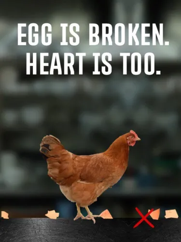 Portada de Egg Is Broken. Heart Is Too.