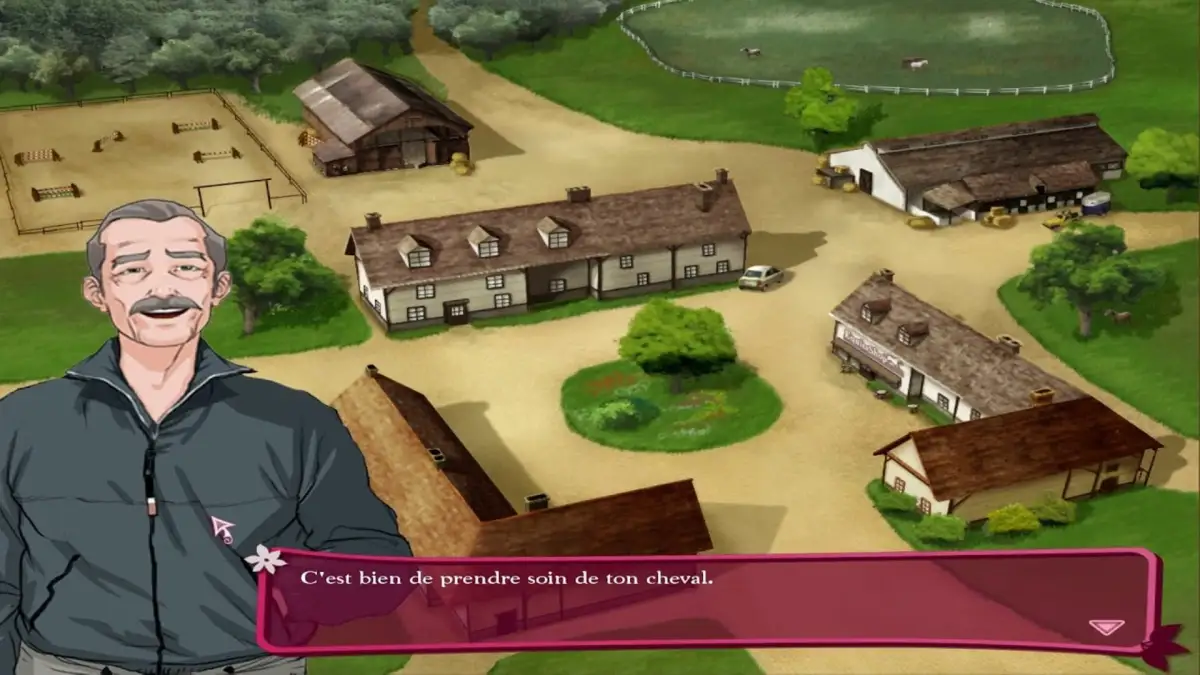 Ellen Whitaker’s Horse Life