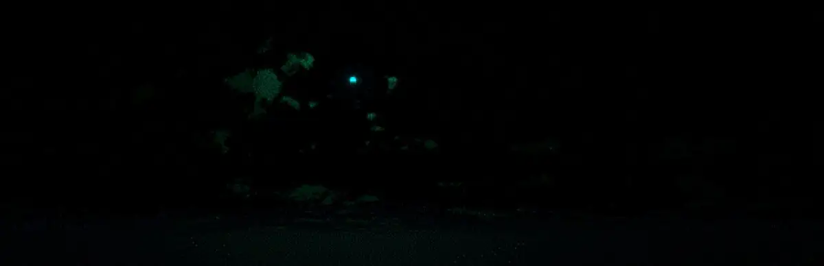 Employee of the Month