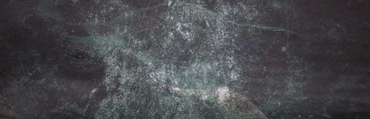 Essex: The Whale Hunter