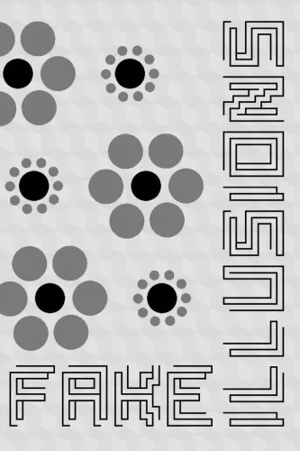 Portada de Fake Illusions