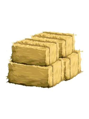 Portada de FarmWoozy