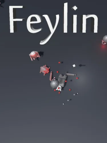 Portada de Feylin