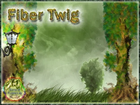 Portada de Fiber Twig