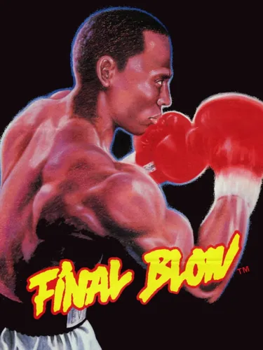 Portada oficial del videojuego Final Blow