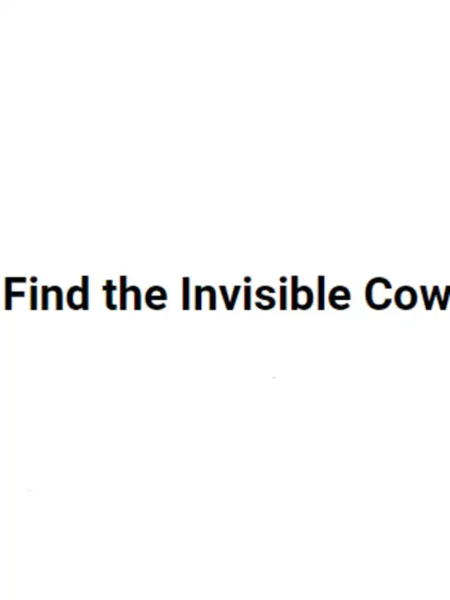 Find the Invisible Cow