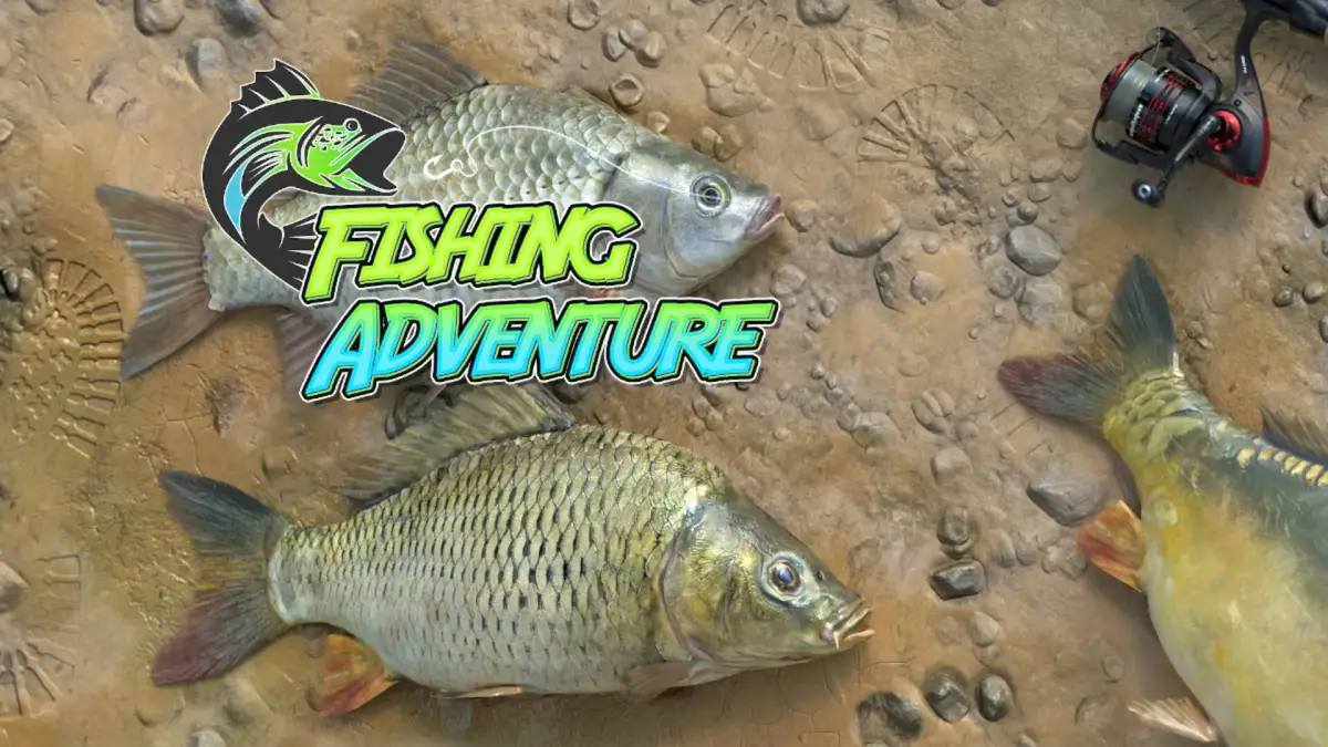 Fishing Adventure