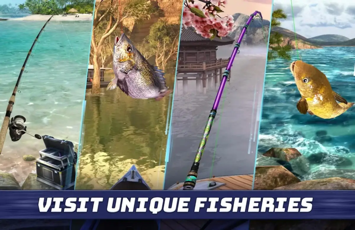 Fishing Clash 2020: Fish Catching Games