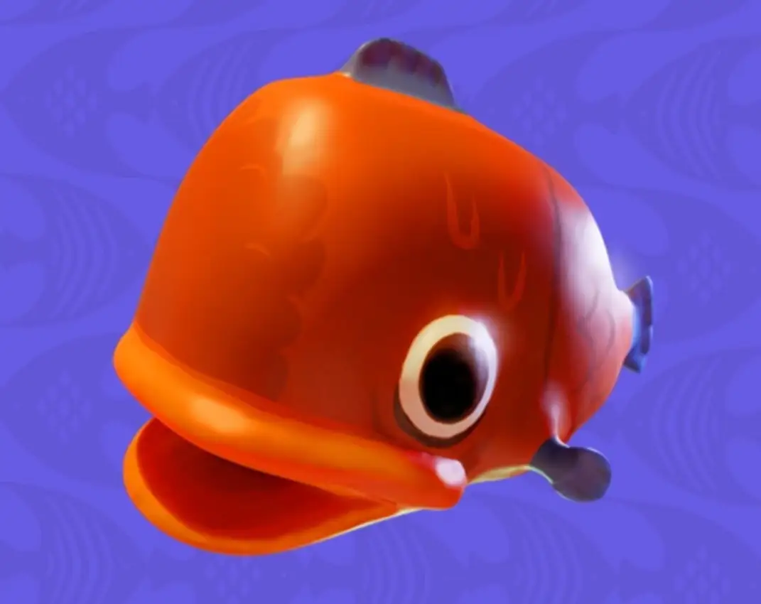 Portada de Flop to the Top