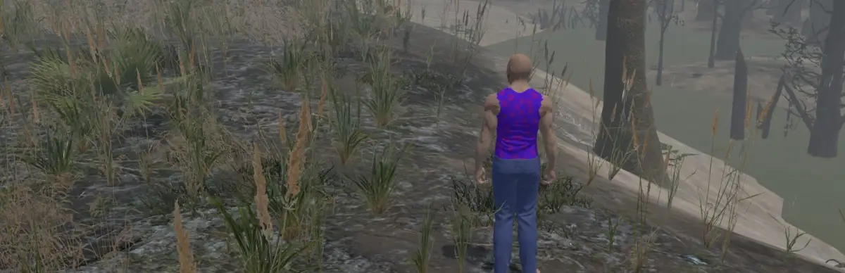 Florida Man: Hurricane Hijinks