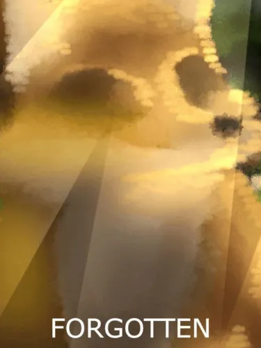 Portada de Forgotten: The Game