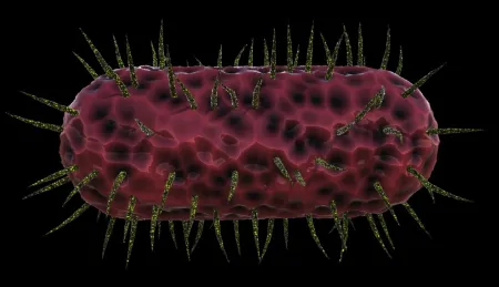 Portada de Germophilia