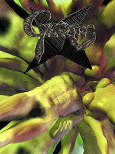 Portada de Germs: Nerawareta Machi