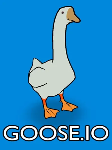 Portada de Goose.io