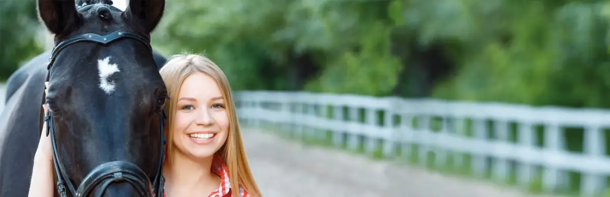 Grand Horse Attraction