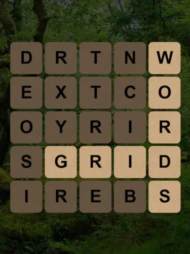 Portada de Grid Words