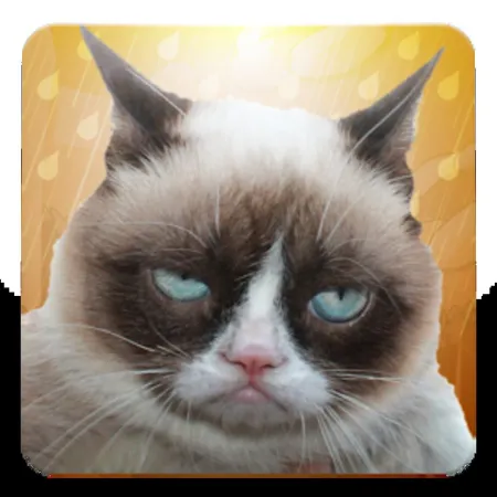 Portada de Grumpy Cat: Unimpressed