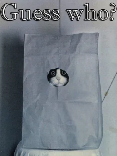 Portada de Guess who ?