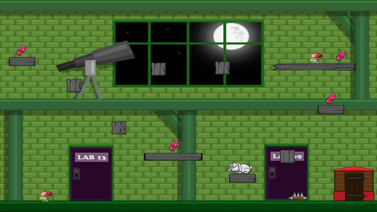 Portada de Guinea-Pig