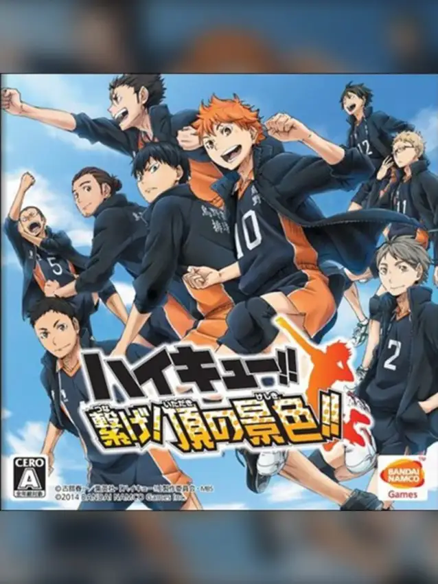 Haikyu!! Tsunage! Itadaki no Keshiki!!