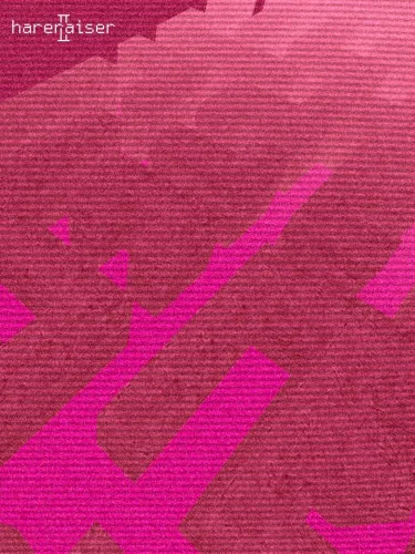 Portada de Hareraiser II