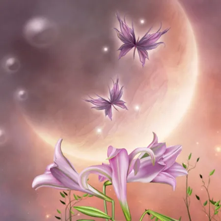 Portada de Hidden Garden Midnight