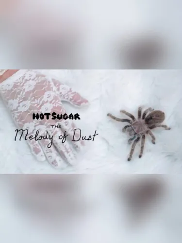 Portada de Hot Sugar Presents: The Melody of Dust