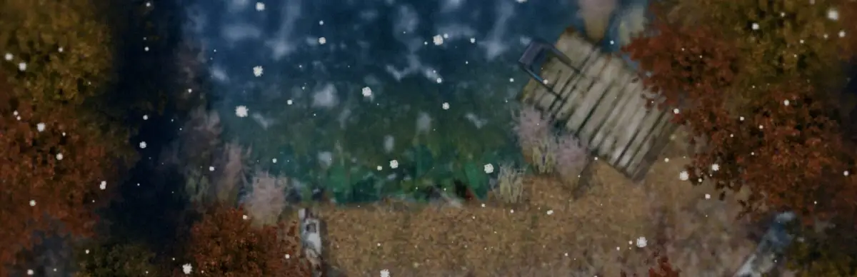 How I learned to Skate