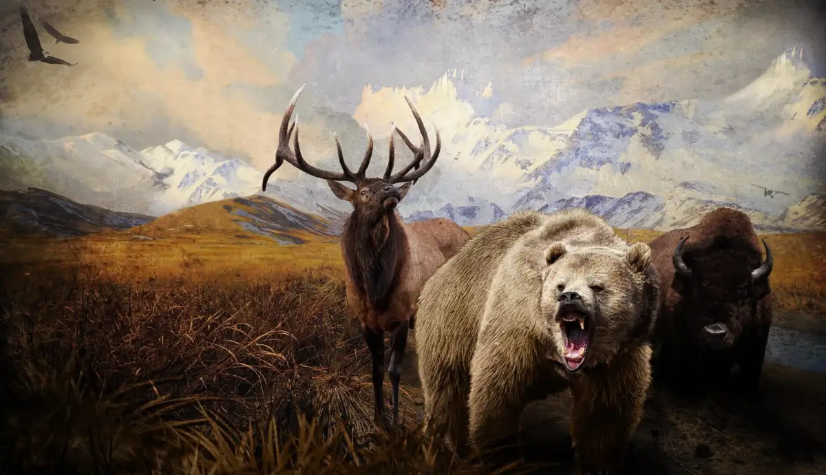 Hunter’s Trophy 2: America