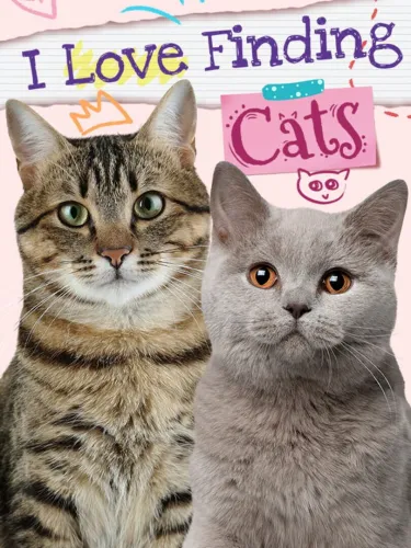 Portada de I Love Finding Cats