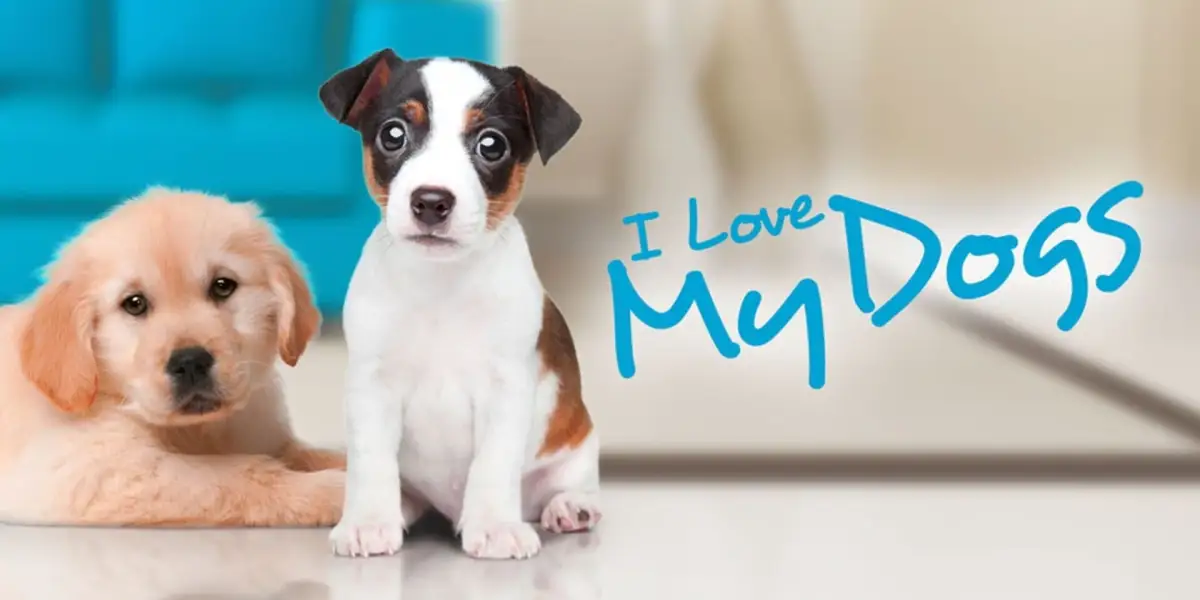 I Love My Dogs